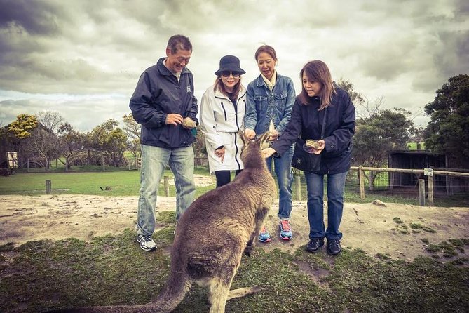 [Private Tour] “Penguin Parade” Phillip Island Tour. - Making the Most of Your Day