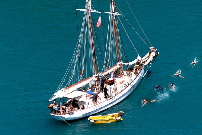 Providence Whitehaven Beach Sailing and Snorkeling Cruise - Real Customer Reviews and Ratings