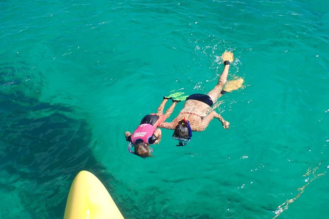 Rottnest Island Snorkel and Sail - Reviews and Ratings Overview