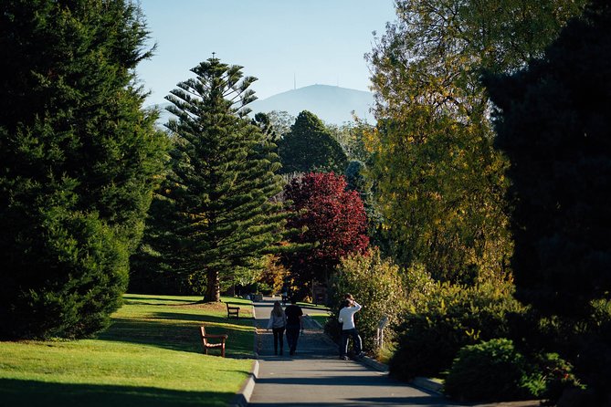 Royal Tasmanian Botanical Gardens Walking Tour - Exploring the Gardens Route