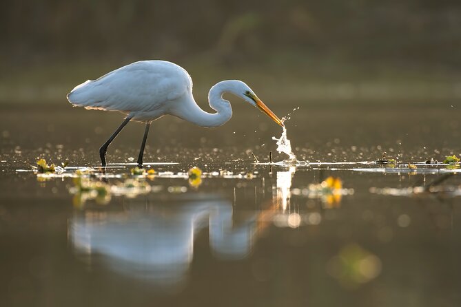 Serenity Cruise to Australias Everglades - Practical Information to Know