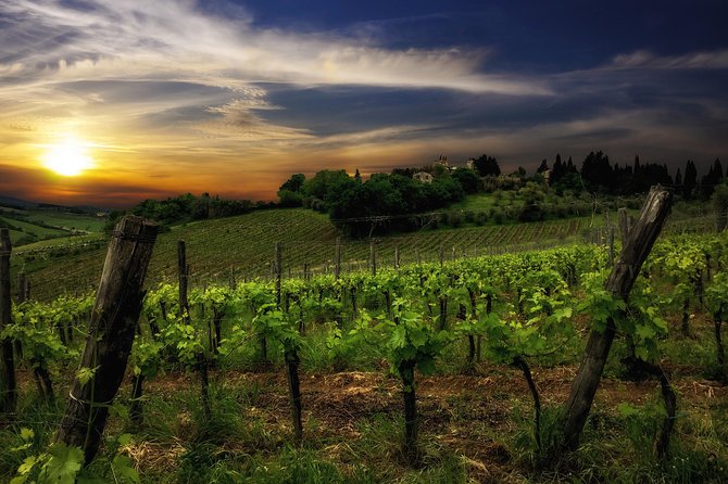 Siena: A Wine Tour and Tasting Experience - Travel Logistics