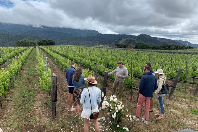 Small-Group Wine Tour to Private Locations in Santa Barbara - Sustainable Practices and Environmental Focus