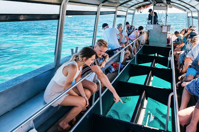 Snorkelling or Glass Bottom Boat at Green Island From Cairns - Planning and Booking Tips