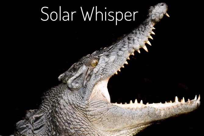 Solar Whisper Daintree River Crocodile and Wildlife Cruise - Accessibility and Special Needs