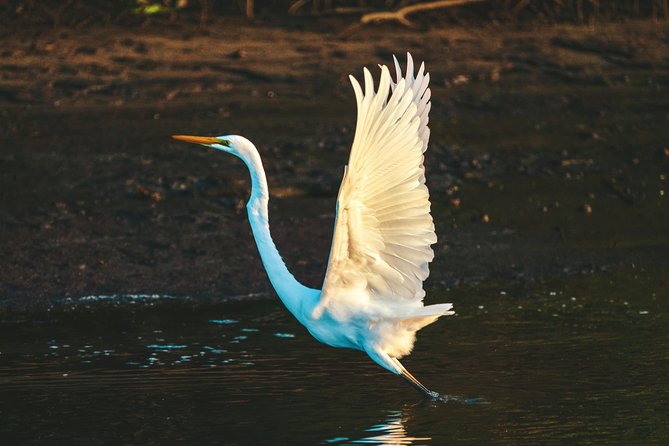 Sunset River Cruise Near Byron Bay - The Perfect Way to Unwind