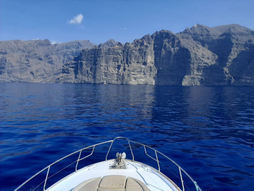 Tenerife: All-Inclusive 2 to 4 Hour Private Motorboat Tour - Directions