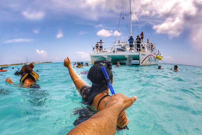 The Best Cozumel Snorkeling Tour Palancar, Colombia and El Cielo Reefs - Return Details and Farewell