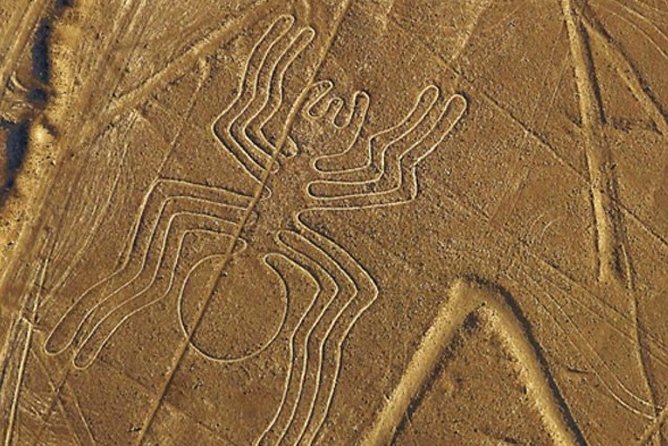 The Nazca Lines & Huacachina Oasis From Lima - Inclusions