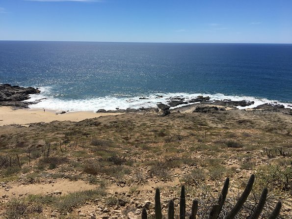 Todos Santos Day Trip From Cabo San Lucas - Background