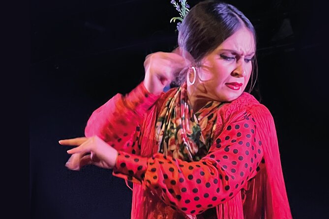 Traditional Flamenco Show at Tablao Casa Ana - Final Words