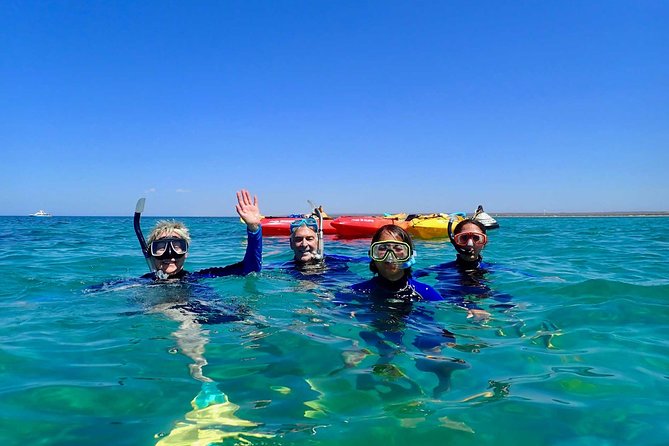 Turtle Tour - Ningaloo Reef Half Day Sea Kayak and Snorkel Tour - What to Bring and Wear