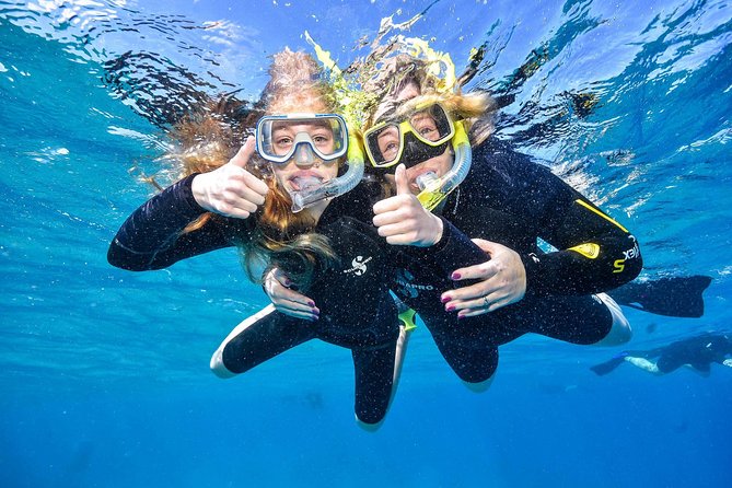 Tusa Reef Tours All Inclusive Great Barrier Reef Tour From Cairns - Tour Reviews and Ratings