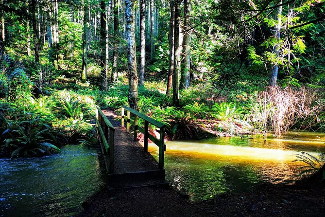 Vancouver Island Rainforest Guided Hike With Private Guide - Customized Guided Hikes