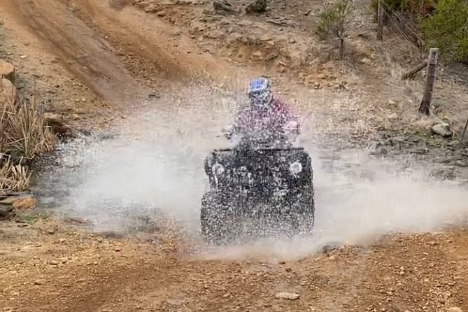 Waitpinga Farm Quad Bike Adventure Tour - Reviews and Ratings Overview