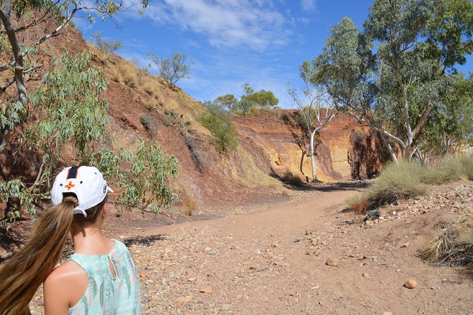 West MacDonnell Ranges Small-Group Full-Day Guided Tour - Preparation and Health Requirements