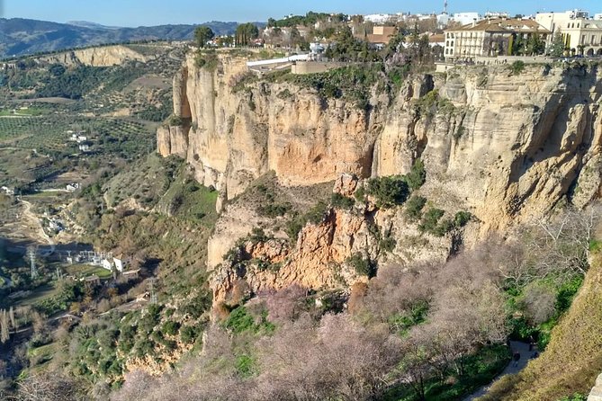 White Villages and Ronda Guided Day Tour From Seville - Final Words