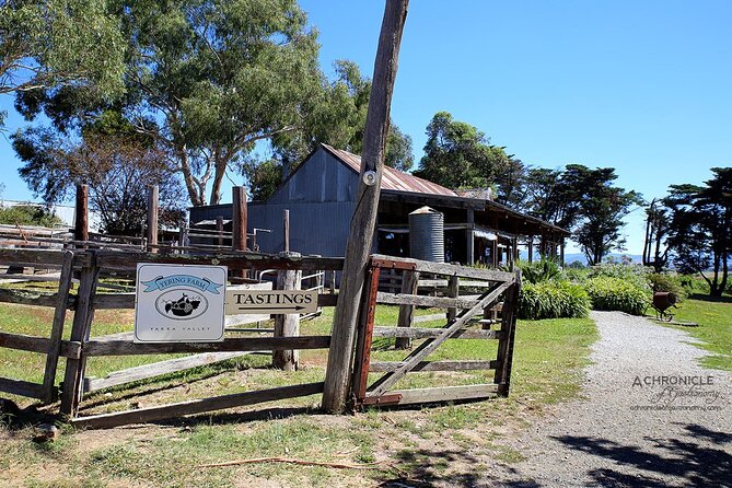 Yarra Valley Smaller Wineries Food and Wine Tour - Tour Details and Logistics