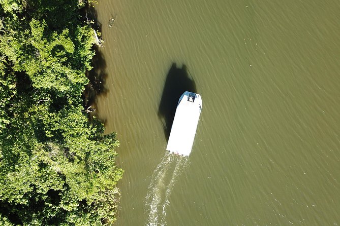 1-Hour Daintree River Wildlife Cruise - Why Choose This Wildlife Cruise