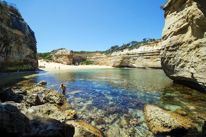 12 Apostles Great Ocean Road Eco Tour With Lunch From Melbourne - Cancellation and Refund Policy