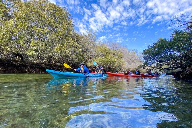 Adelaide Dolphin Sanctuary Mangroves Kayaking Tour - Preparing for the Kayaking Tour