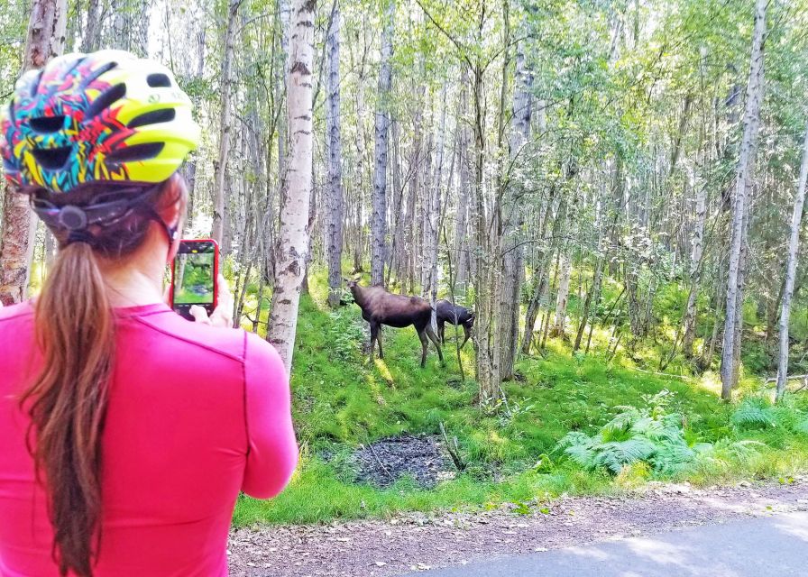 Anchorage: Coastal Trail 3-Hour City Bike Tour - Common questions