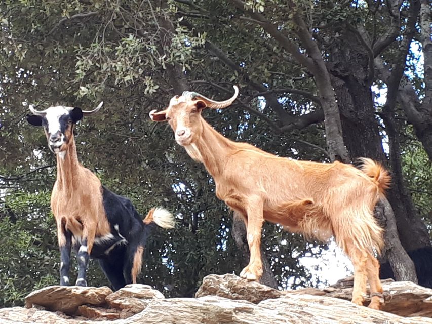 Andros Watermills Guided Hiking Tour - Final Words