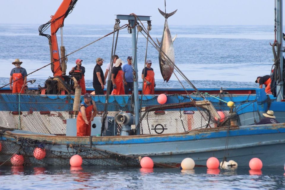 Barbate: Boat Tour to the Almadraba of Conil (Tuna Fishing) - Common questions