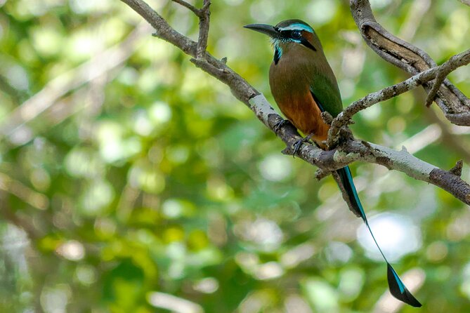 Birdwatching in Sian Kaan and Muyil Archaeological Site From Tulum - Weather Considerations