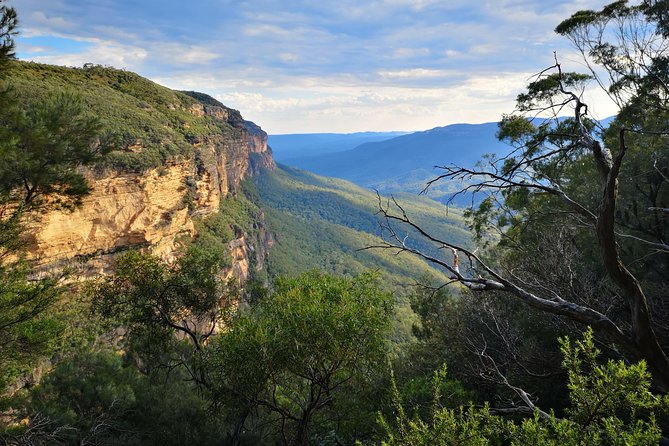 Blue Mountains Sunset Tour With Wildlife From Sydney - Cancellation and Refund Policy