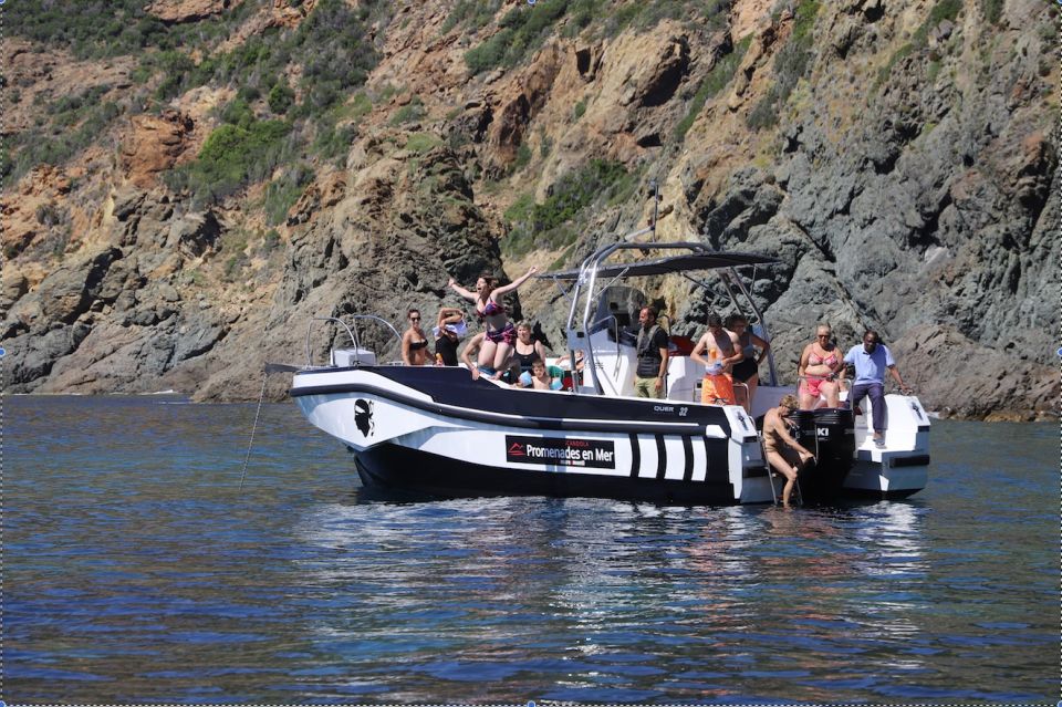 Calvi to Scandola: 4-Hour Boat Tour - Important Notes