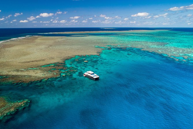 Calypso Outer Great Barrier Reef Cruise From Port Douglas - Health and Safety Guidelines