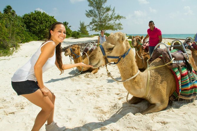 Camel Caravan Expedition and Beach Club With Transportation in Riviera Maya - Common questions