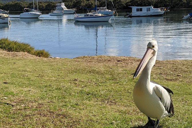 CENTRAL COAST PRIVATE TOUR Waterfalls, Beach Lookouts, Aboriginal Rock Art - Booking and Pricing Details