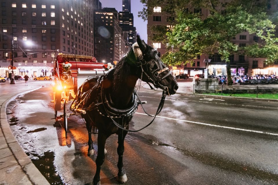 Central Park, Rockefeller & Times Carriage Ride (4 Adults) - Testimonials