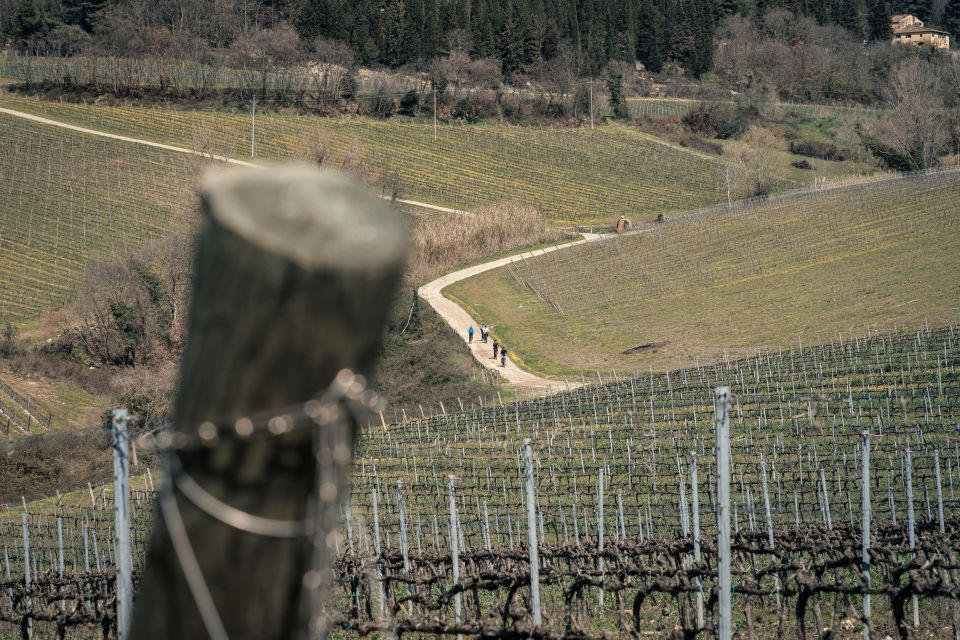 Chianti Classico: E-Bike Tour With Lunch and Tastings - Customer Review