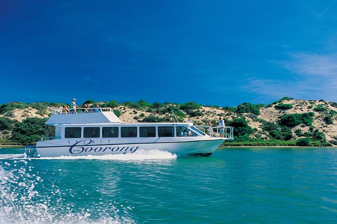 Coorong 6-Hour Adventure Cruise - Reviews From Past Passengers