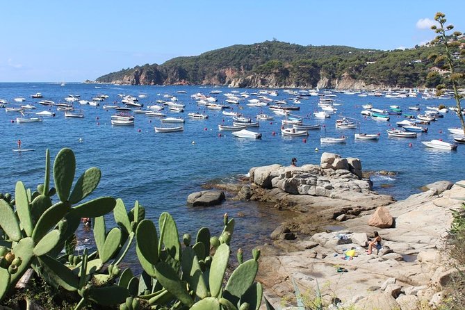 Costa Brava Full Day Trip From Barcelona With Boat Trip - Tips for Future Travelers