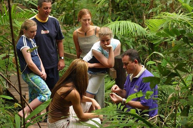 Daintree Discovery Centre Family Pass Ticket - Booking and Traveler Notes