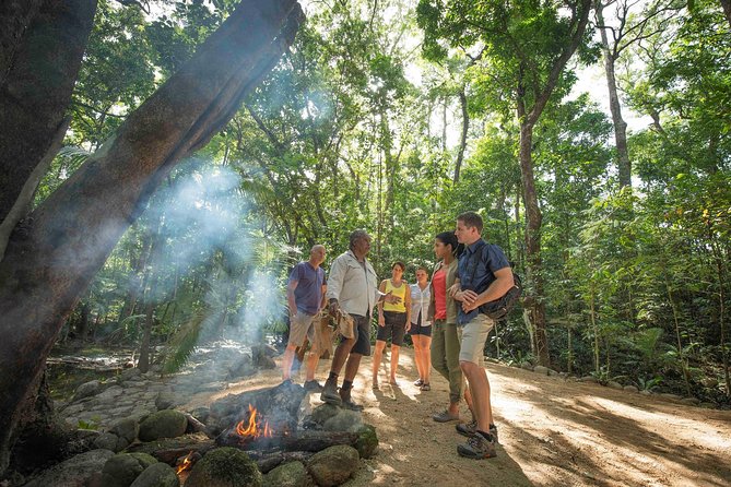 Daintree Dreaming Traditional Aboriginal Fishing From Cairns or Port Douglas - What to Expect on Your Tour