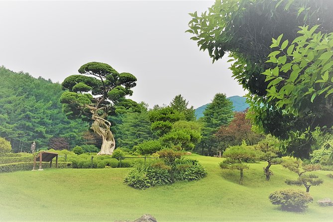 Easy Private Tour to Nami Island, Garden of Morning Calm - Booking and Confirmation Process