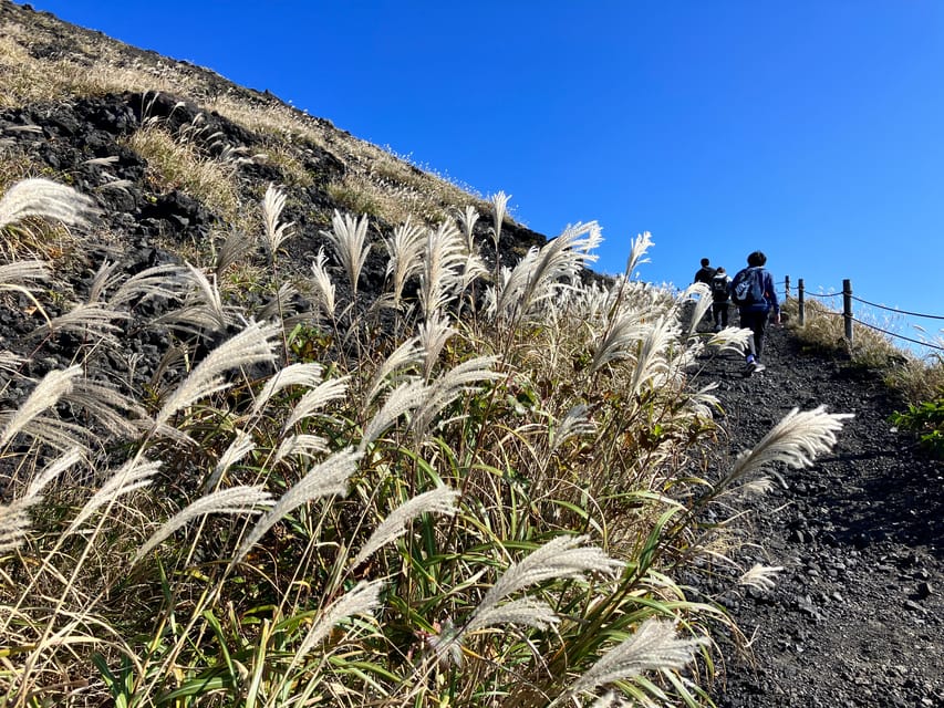 Feel the Volcano by Trekking at Mt.Mihara - Final Words