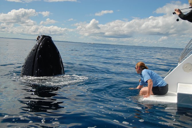 Fraser Island Whale Watch Encounter - Important Tour Details