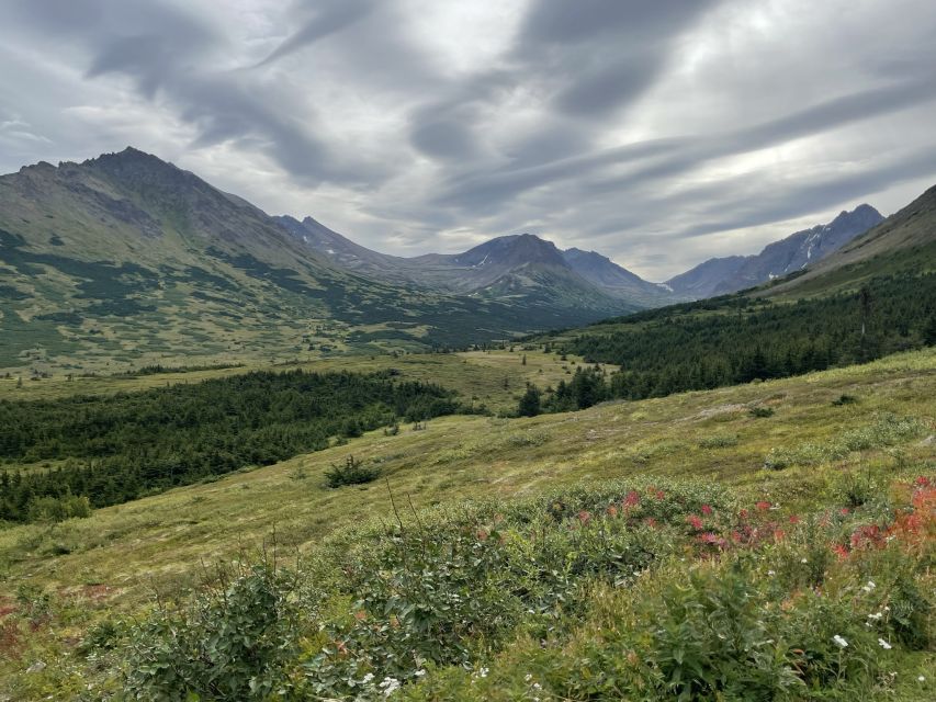 From Anchorage: Chugach State Park Walk With Naturalist - Final Words