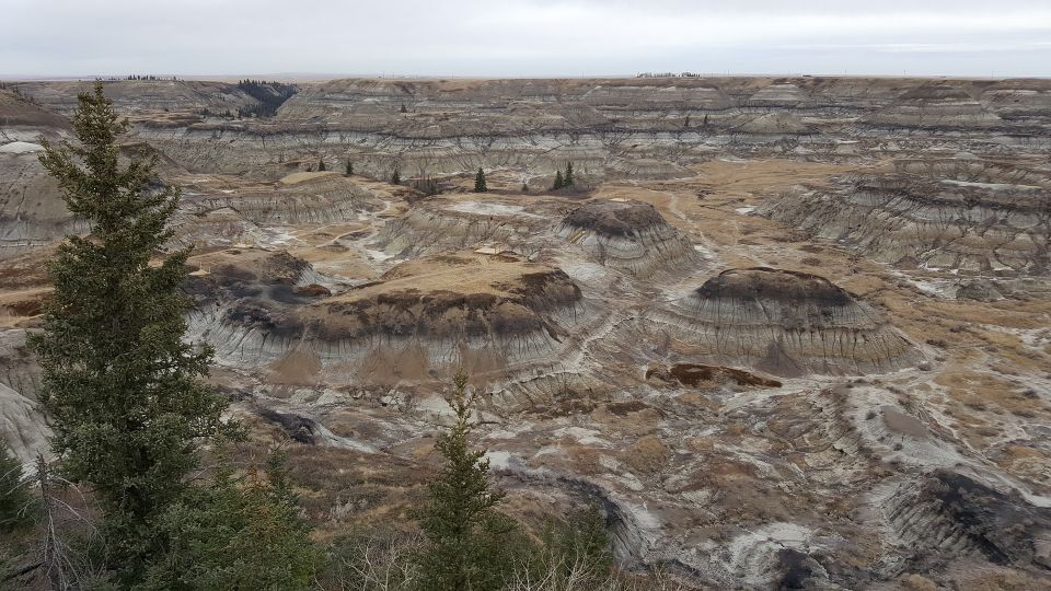 From Calgary: Canadian Badlands Private Geological Tour - Final Words