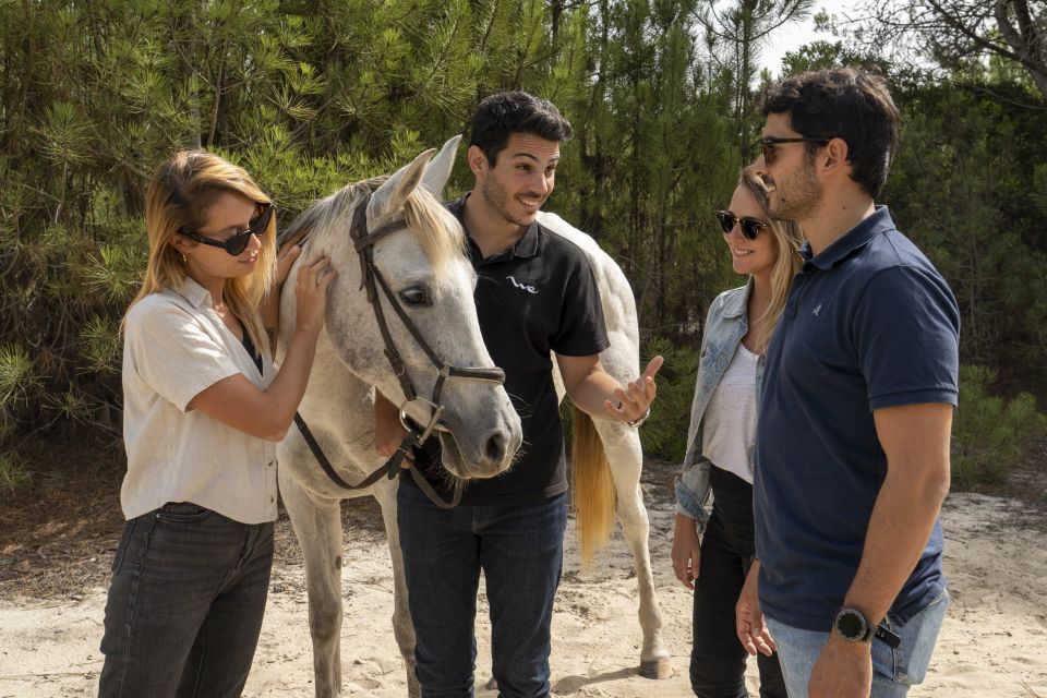 From Lisbon: Comporta and Setúbal Trip With Horseback Riding - Final Words