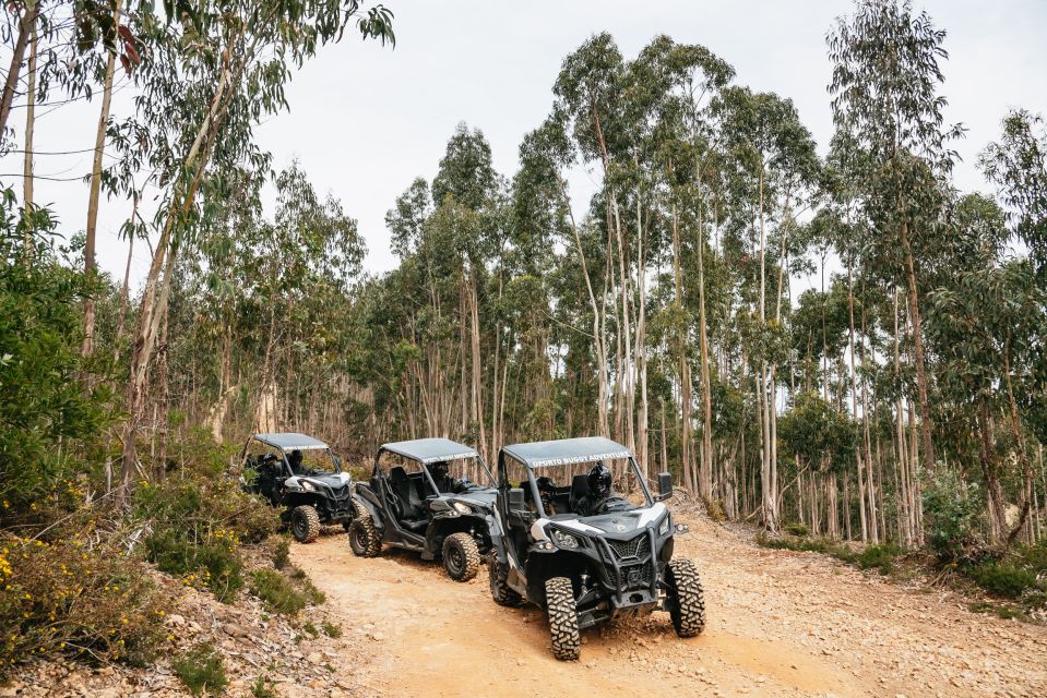 From Porto: Off-Road Buggy Adventure - Final Words