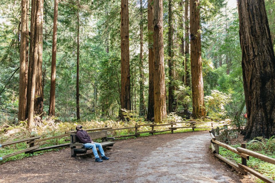 From San Francisco: Muir Woods National Monument Guided Tour - Directions