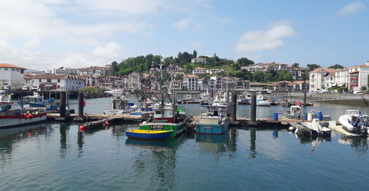 From San Sebastián: Basque-France Coastline Private Tour - Transport and Language Options