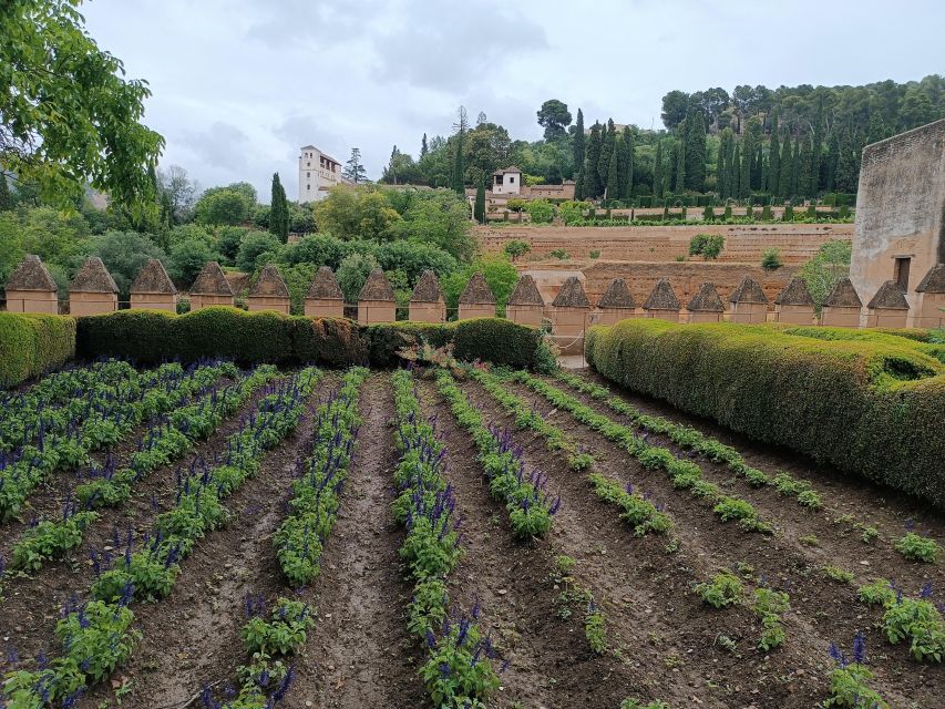 From Seville: Day Trip to Granada With Alhambra Entry - Common questions